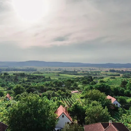 度假居 Hillside Vendeghaz A Szent Gyoergy-hegyen Raposka