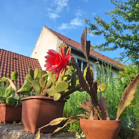 Hillside Vendeghaz A Szent Gyoergy-hegyen * Raposka