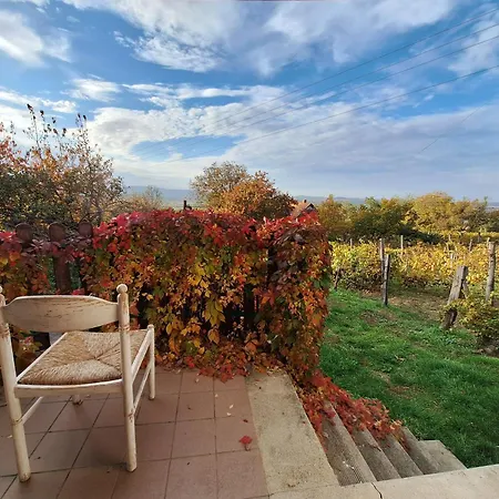 Hillside Vendeghaz A Szent Gyoergy-hegyen 度假居 *