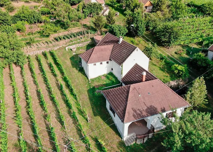 Hillside Vendeghaz A Szent Gyoergy-hegyen Raposka