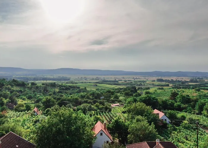 펜션 Hillside Vendeghaz A Szent Gyoergy-hegyen Raposka