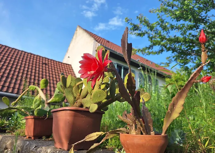 Hillside Vendeghaz A Szent Gyoergy-hegyen * Raposka