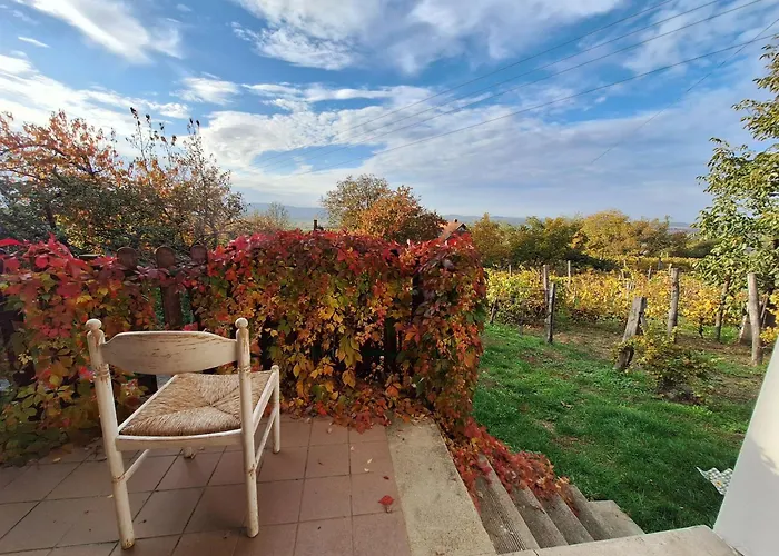 Hillside Vendeghaz A Szent Gyoergy-hegyen Ferienhaus *